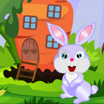 Games4King Rabbit Rescue From Carrot House Walkthrough